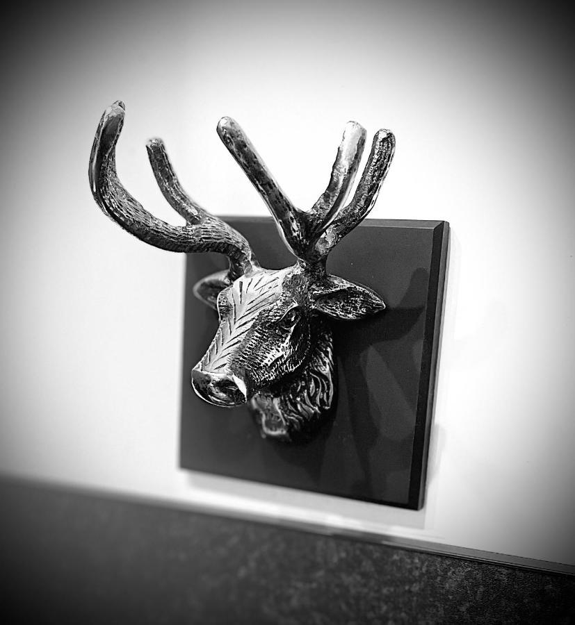 Grey Stag Apartment Nairn Exteriér fotografie
